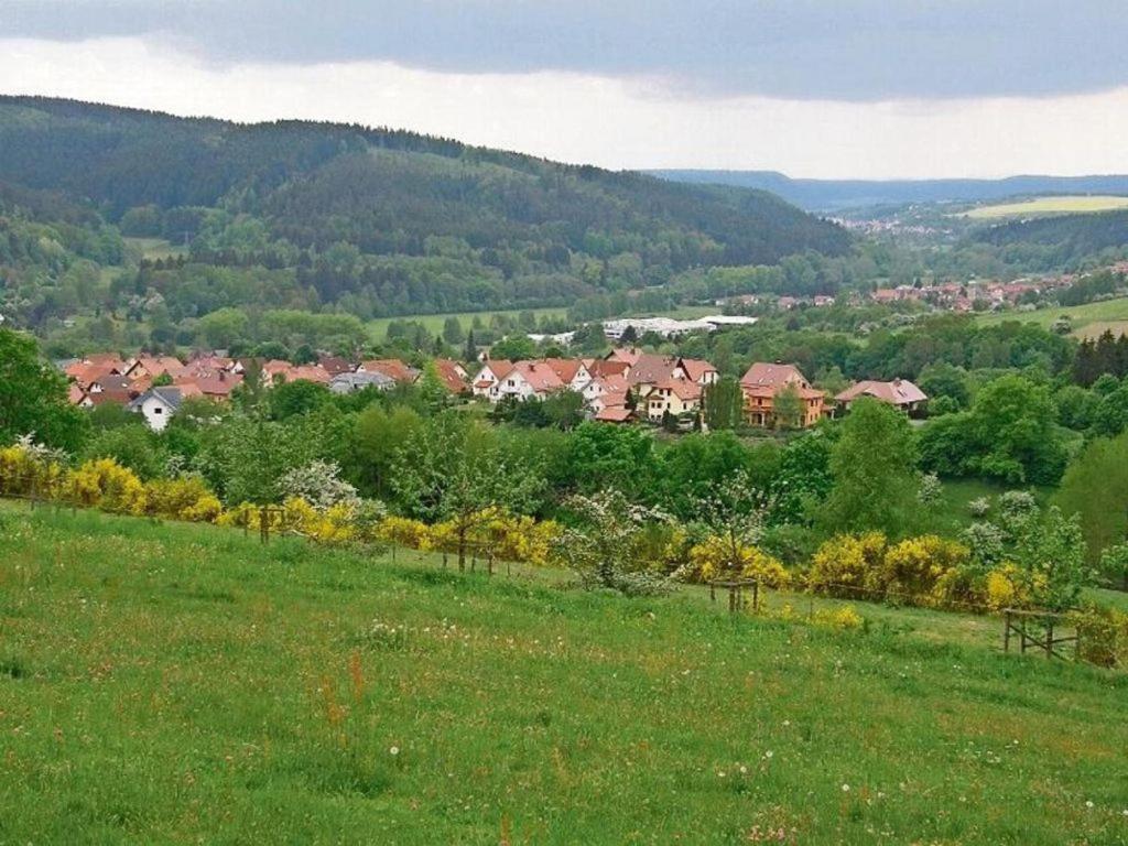 Gartenhaus - Dietzhaeuschen Suhl Bagian luar foto